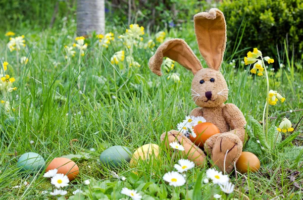 Conejito de Pascua —  Fotos de Stock