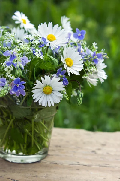 Wildflowers — Stock Photo, Image