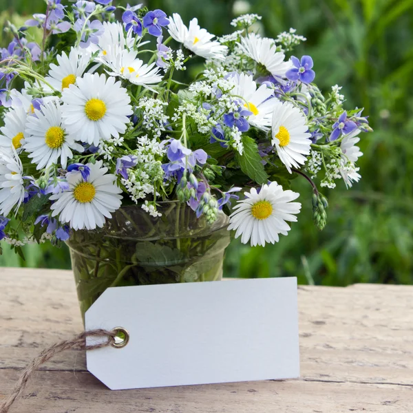 Fiori di campo — Foto Stock