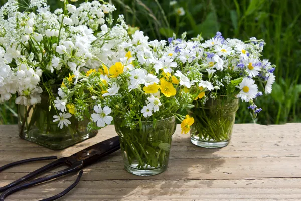 Wildflowers — Stock Photo, Image