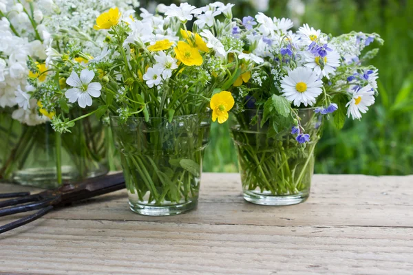 Wildflowers — Stock Photo, Image