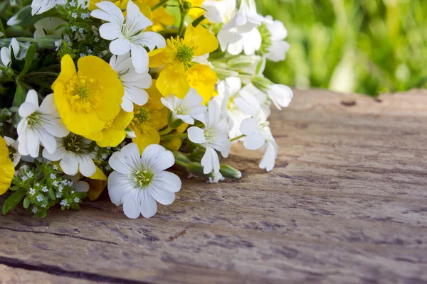 Wildflowers — Stock Photo, Image