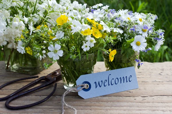 Welcome — Stock Photo, Image