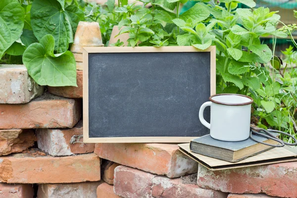 Garden — Stock Photo, Image