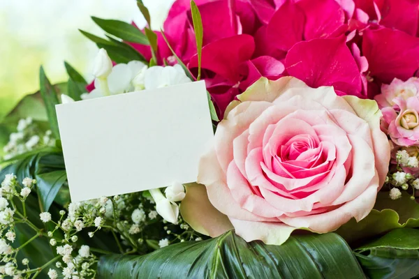 Flores rosadas — Foto de Stock