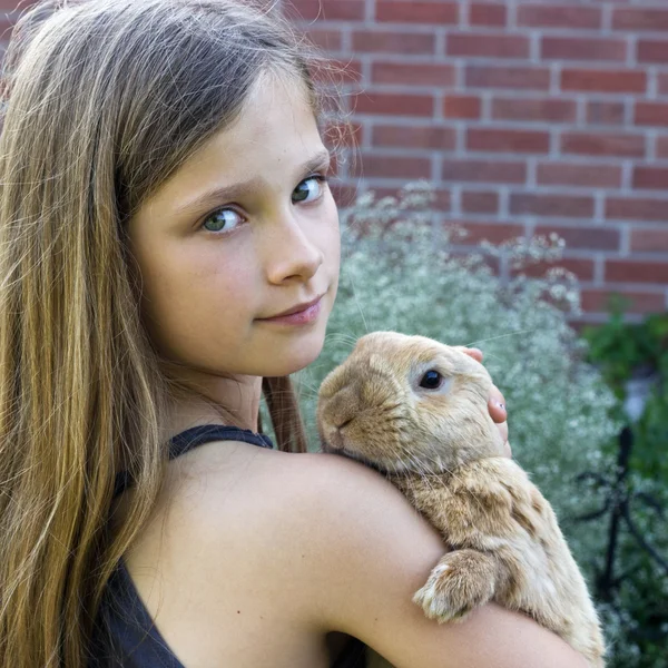 Rabbit — Stock Photo, Image