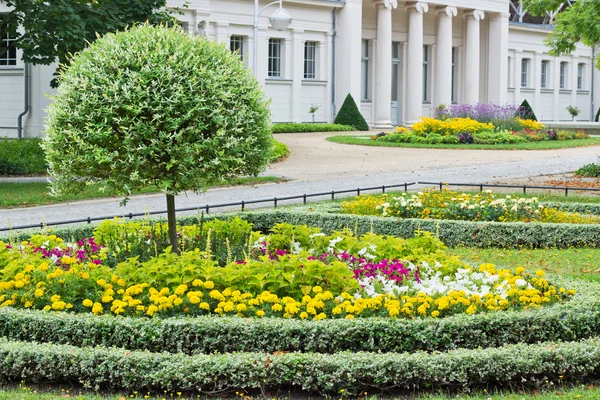 Summer flowers — Stock Image Summer flowers Stock Image