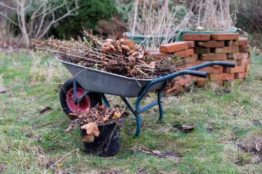Wheelbarrow and bucket with biomass