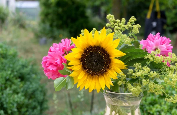 Bouquet Sunflower Pink Roses — ストック写真