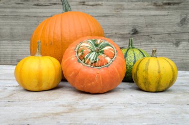 Çeşitli balkabakları açık renkli ahşaptan yapılmış bir masanın üzerinde dururlar..