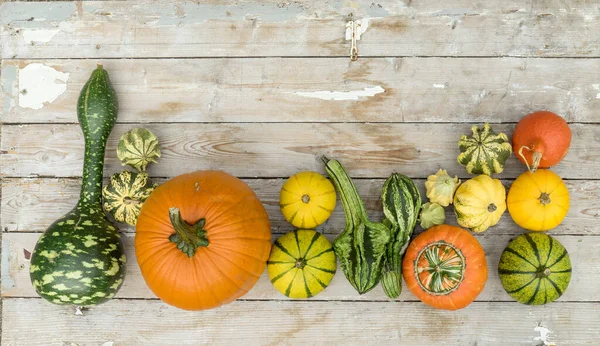 Top View Various Pumpkins Light Wood Table — Stock Photo, Image