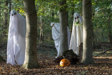 Üç hayalet ormanda Cadılar Bayramı partisi veriyor.