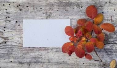 Sonbahar yaprakları, ahşap zemin üzerinde metin alanı olan bir tebrik kartının yanında yatar.