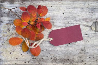 Sonbahar yaprakları ahşap bir arka planda metin alanı olan bir etiketin yanında yatar