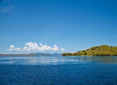 manzara