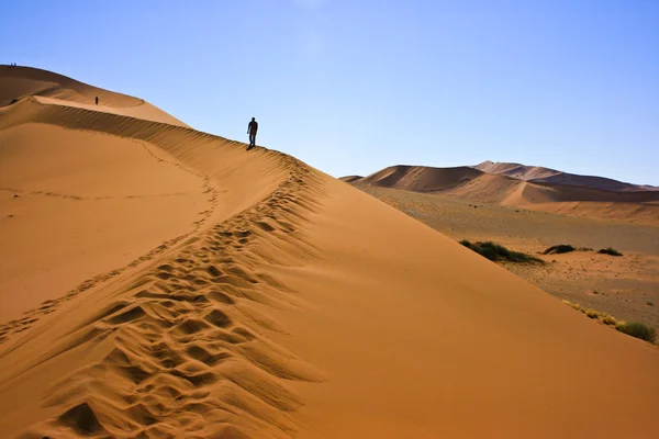 Sanddüne — Stockfoto