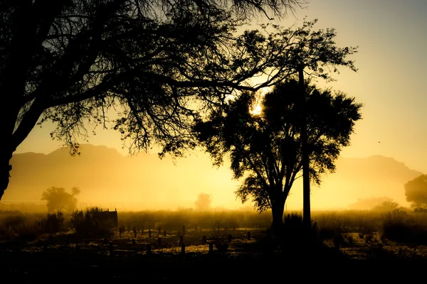 Morning in Namib-Naukluft National Park, Namibia Royalty Free Stock Photos