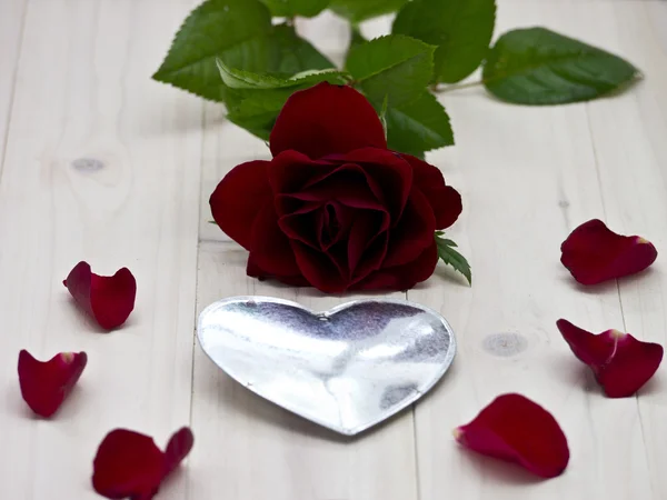 Red rose — Stock Photo, Image