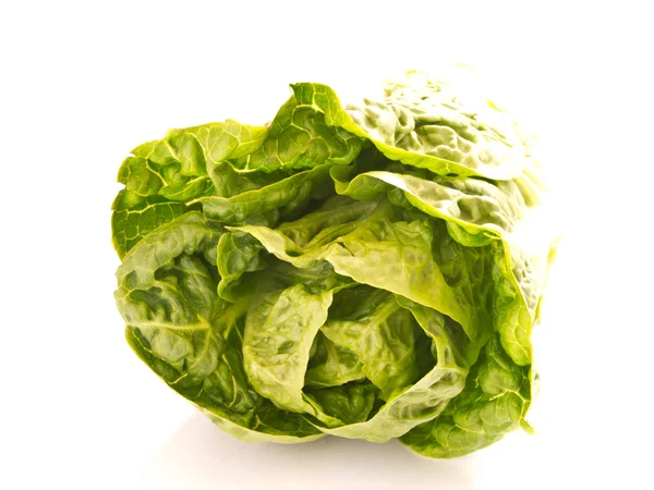 Salat verde — Fotografia de Stock