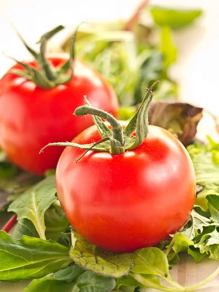 Ensalada italiana con tomates frescos — Foto de Stock