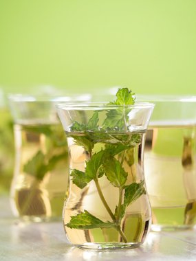 nane çayı dan taze nane yaprakları