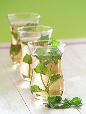 nane çayı dan taze nane yaprakları