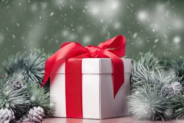 Kırmızı kurdeleli beyaz hediye kutusu Noel ağacı dalının yanında duruyor. Mırmır. Noel ve Yeni Yıl sınırı. Boşluk kenar görünümünü kopyala