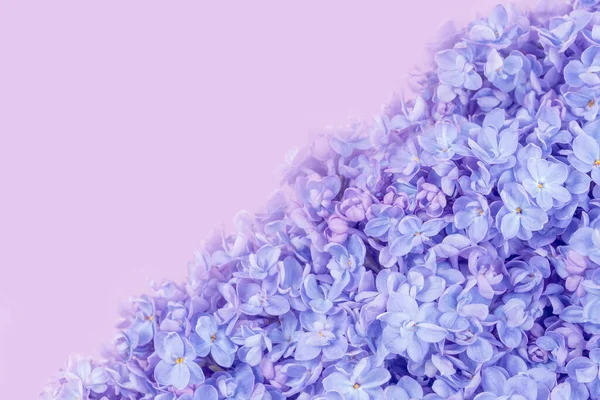 Lilac Květiny Detailní Jemném Fialovém Pozadí Jarní Květiny Narozeninám Den — Stock fotografie