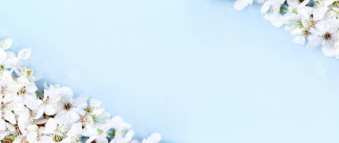 Bahar bayrağı, mavi üzerine çiçek açan meyve ağacı dalları.