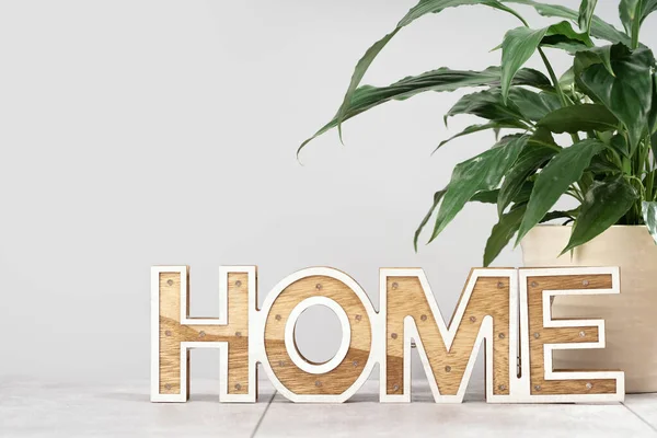 Home sign on the desk with a plant — Stock Photo, Image