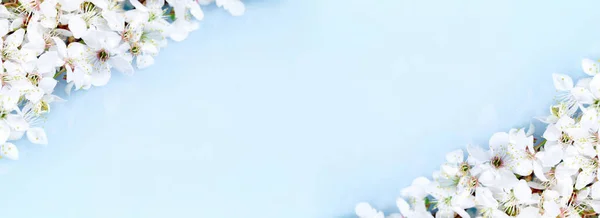 Bahar bayrağı, mavi üzerine çiçek açan meyve ağacı dalları.