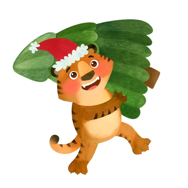 Tigre Feliz Con Sombrero Santa Compró Árbol Navidad Símbolo Del — Foto de Stock