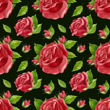 Kırmızı güller dikişsiz desen. Çiçekler, tomurcuklar ve gül yaprakları. Siyah arka planda çiçek deseni. Suluboya Clipart.