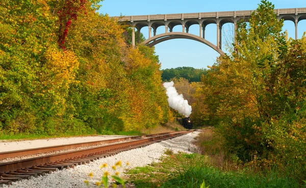 Train à vapeur très loin — Photo