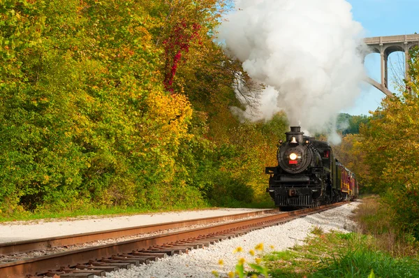 Train à vapeur approchant — Photo
