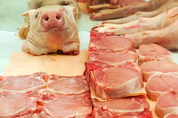 Stachelschwein — Stockfoto