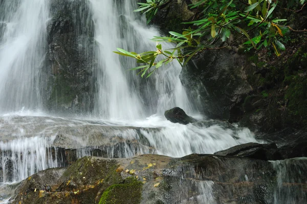 Laurel Falls up close — Stock Photo, Image