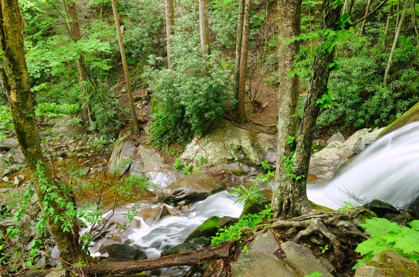 Laurel Falls lower — Stock Photo, Image