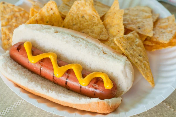 Hot dog and chips — Stock Photo, Image