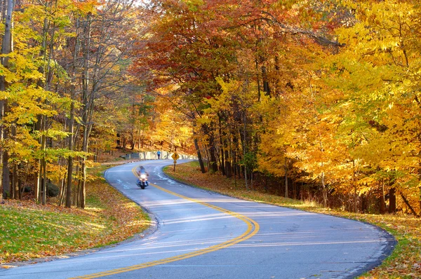 Autumn biker — Stock Photo, Image