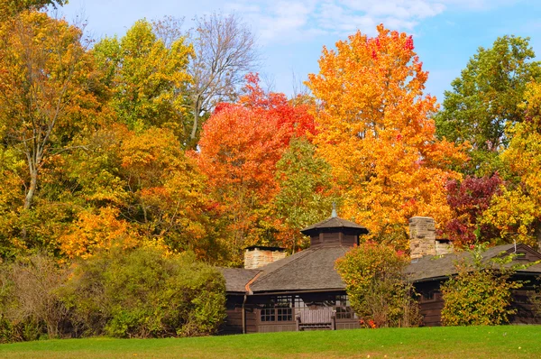 Park shelter in autumn — Stock Photo, Image