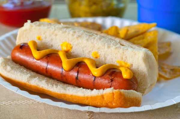 Hot dog w mustard — Stock Photo, Image