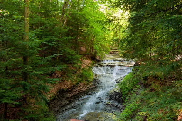 Ohio bridalveil fällt — Stockfoto