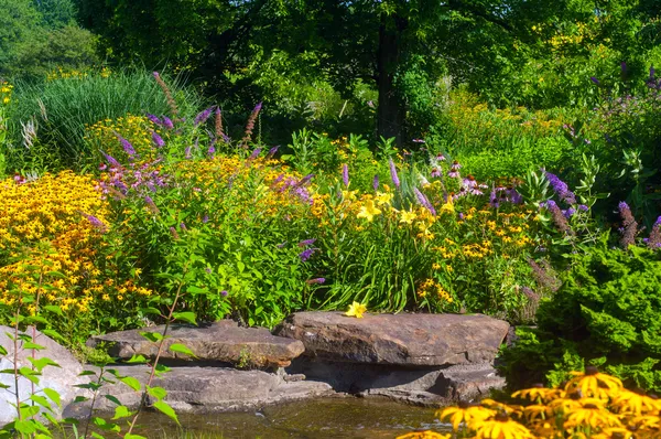 Butterfly garden — Stock Photo, Image