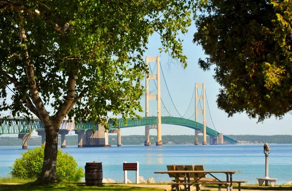 Mackinac міст через дерев — стокове фото