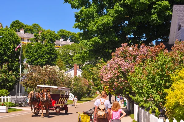 Classico Mackinac — Foto Stock