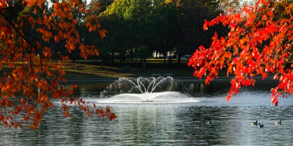 Delicate Fountain Graces Scene Lake Anna Barberton Ohio Sunlit Autumn — Foto Stock