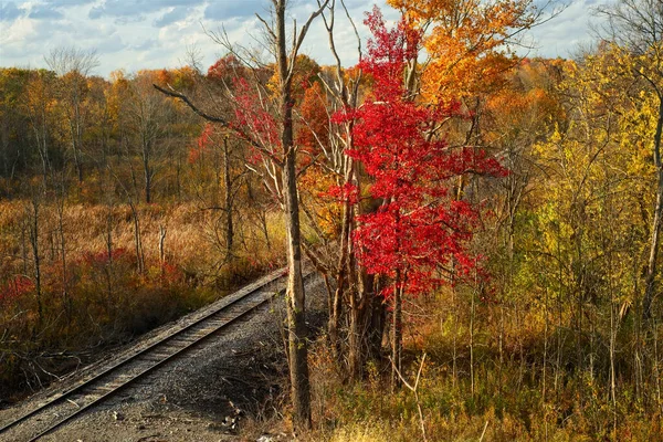 オハイオ州北東部の鉄道線は秋に鮮やかな赤い木を通ります — ストック写真