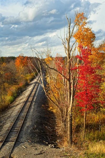 Rak Sträcka Järnvägen Nordöstra Ohio Går Förbi Höstfärger — Stockfoto