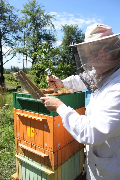 Beekeeper at work — Stock Photo, Image